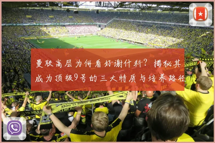 曼联高层为何看好谢什科？揭秘其成为顶级9号的三大特质与培养路径