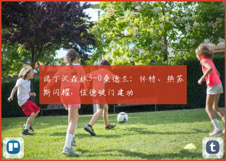 诺丁汉森林5-0桑德兰:怀特、热苏斯闪耀,伍德破门建功